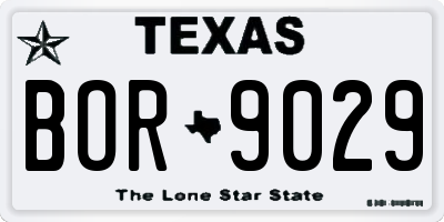TX license plate BOR9029