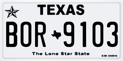 TX license plate BOR9103