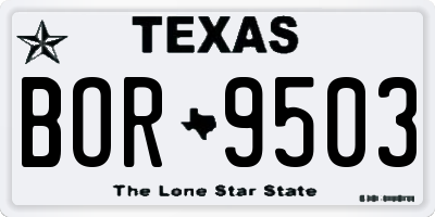 TX license plate BOR9503
