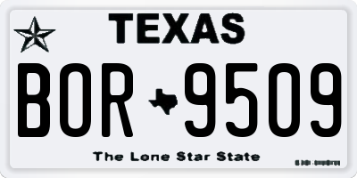 TX license plate BOR9509