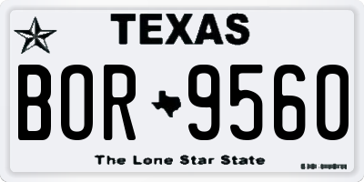 TX license plate BOR9560