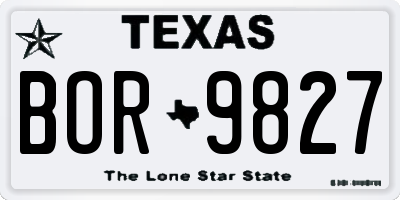 TX license plate BOR9827