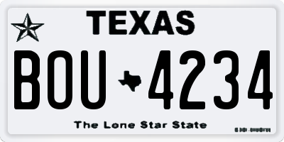 TX license plate BOU4234