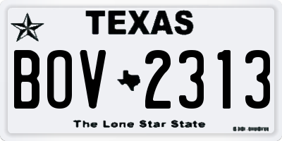 TX license plate BOV2313