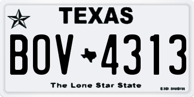 TX license plate BOV4313