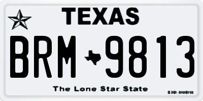 TX license plate BRM9813