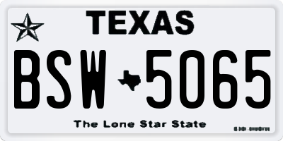 TX license plate BSW5065