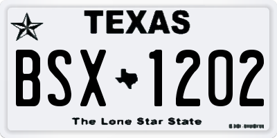 TX license plate BSX1202