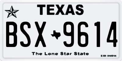 TX license plate BSX9614