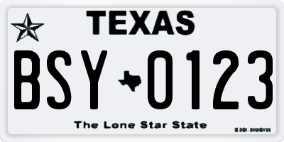 TX license plate BSY0123
