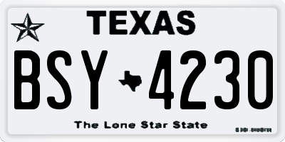 TX license plate BSY4230