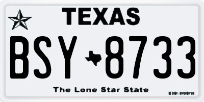 TX license plate BSY8733