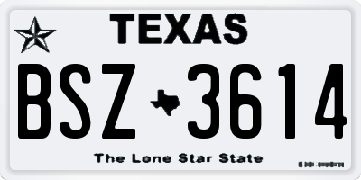 TX license plate BSZ3614