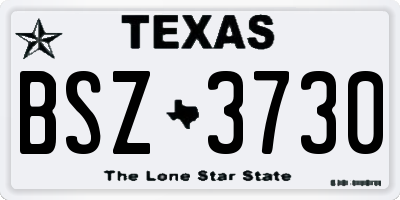 TX license plate BSZ3730