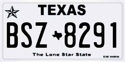 TX license plate BSZ8291
