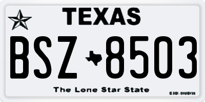 TX license plate BSZ8503