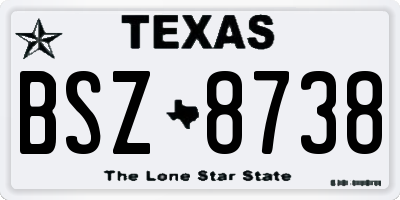 TX license plate BSZ8738