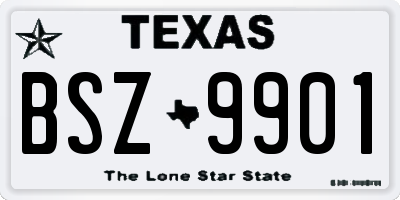 TX license plate BSZ9901