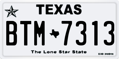 TX license plate BTM7313