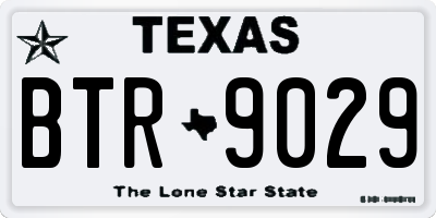 TX license plate BTR9029
