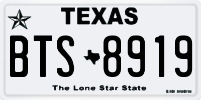 TX license plate BTS8919