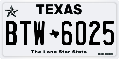 TX license plate BTW6025