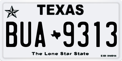 TX license plate BUA9313