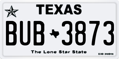 TX license plate BUB3873