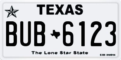 TX license plate BUB6123
