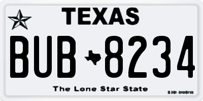 TX license plate BUB8234