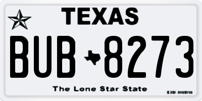 TX license plate BUB8273