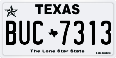 TX license plate BUC7313