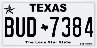 TX license plate BUD7384