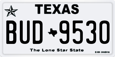 TX license plate BUD9530