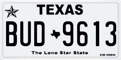 TX license plate BUD9613