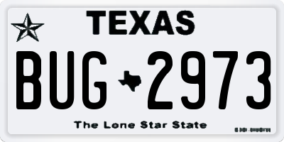 TX license plate BUG2973