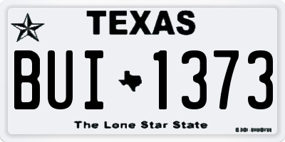 TX license plate BUI1373