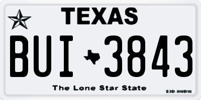 TX license plate BUI3843