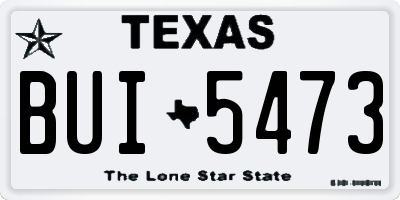 TX license plate BUI5473