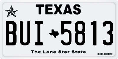 TX license plate BUI5813