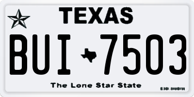 TX license plate BUI7503