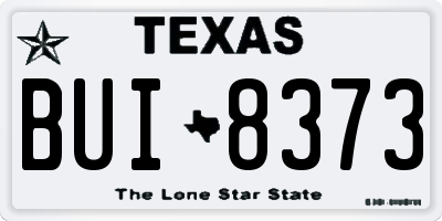 TX license plate BUI8373
