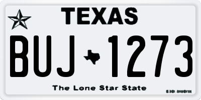 TX license plate BUJ1273