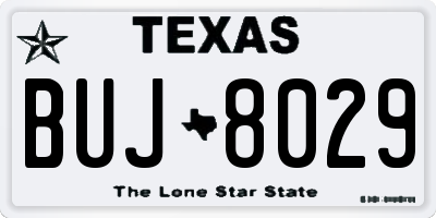 TX license plate BUJ8029