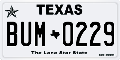 TX license plate BUM0229