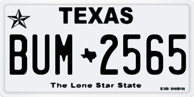 TX license plate BUM2565