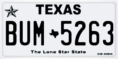 TX license plate BUM5263