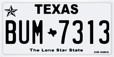 TX license plate BUM7313