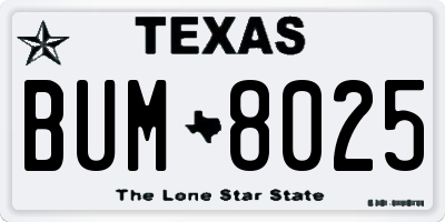 TX license plate BUM8025