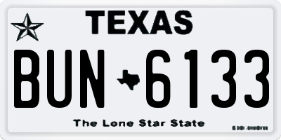 TX license plate BUN6133